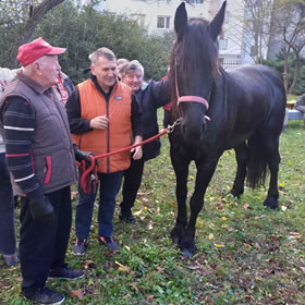 Návšteva kobyly Gaji v ZSS